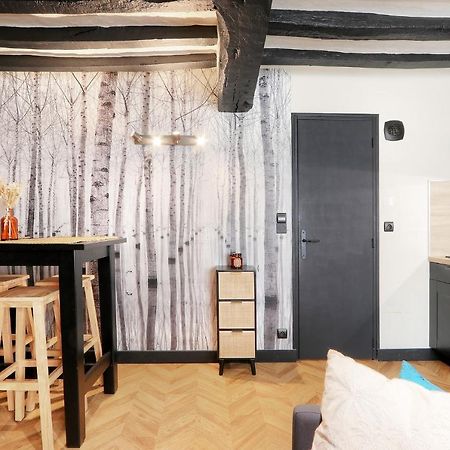 Le Moon, Bel Appartement Pres Du Parc Du Thabor Rennes Kültér fotó