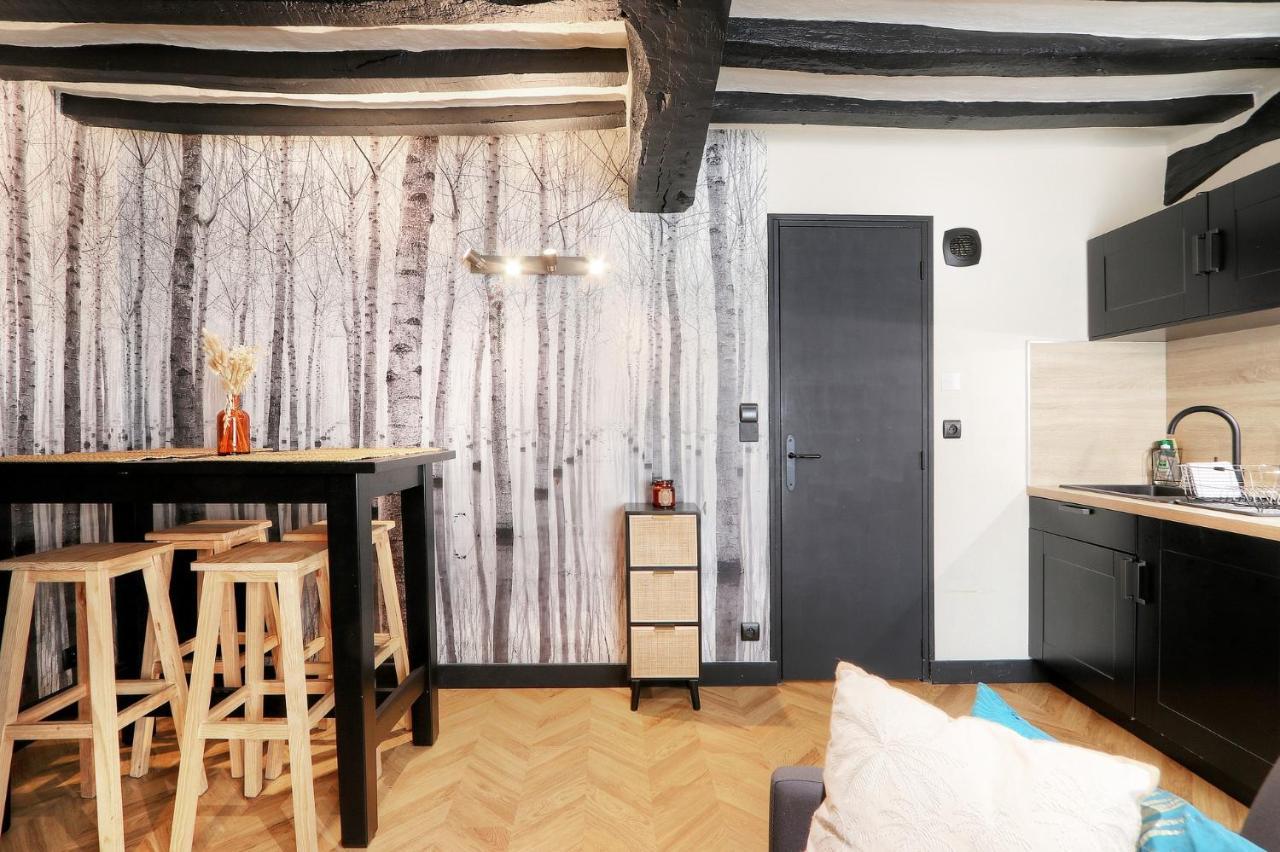 Le Moon, Bel Appartement Pres Du Parc Du Thabor Rennes Kültér fotó